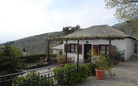 Χρυσή Νεφέλη
